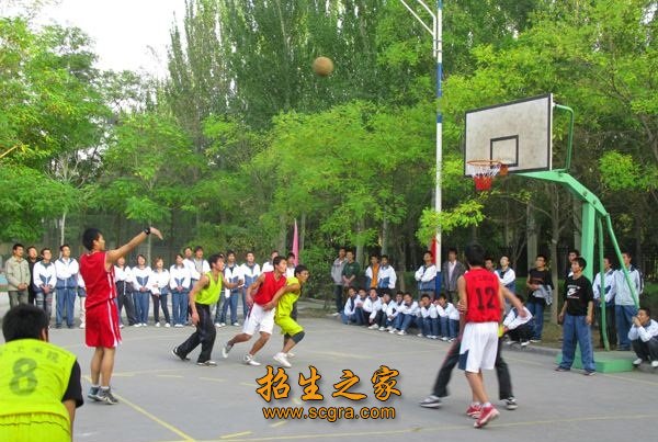 篮球活动