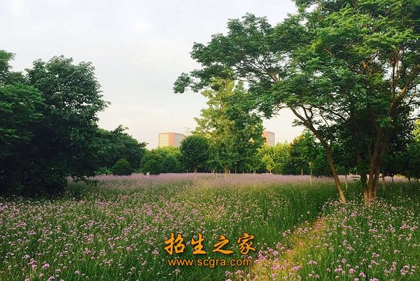 宿迁高等师范学校