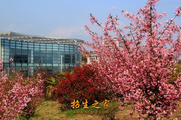 镇江技师学院