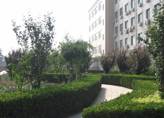 2019年四川省凉山民族师范学校（四川民族幼儿师范高等专科学校）招生录取分数线