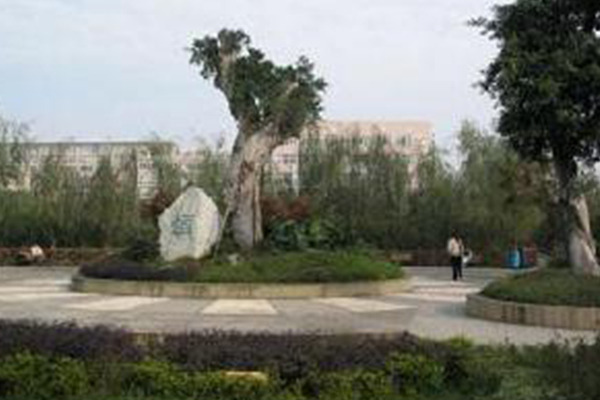 美术教育 美术教育