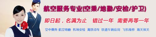 成都艺术职业学院2019航空服务(地勤、安检)专业招生