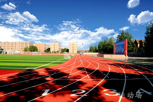 成都艺术职业学院2019(海关报关员培训班)招生