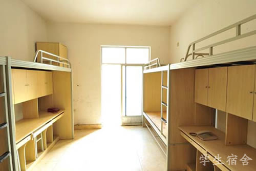 成都艺术职业学院2019(海关报关员培训班)招生