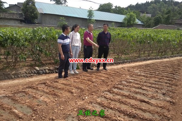 四川省绵阳农业学校就业情况_2019年学费是多少