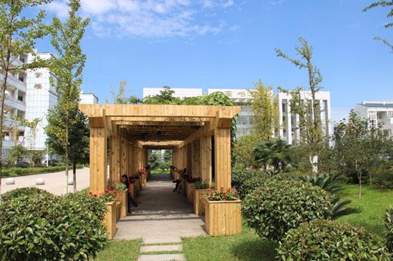 贵阳护理职业学院有哪些专业及什么专业好