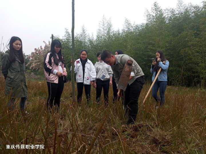 重庆传媒职业学院