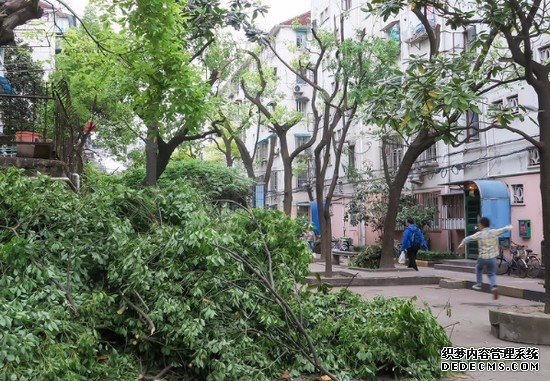 重庆市卫生学校有哪些专业及什么专业好