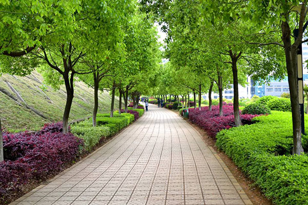 乐山职高学院排名 乐山职高学院排名