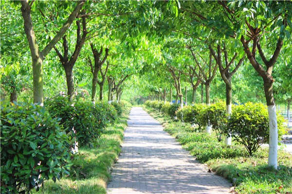 西昌职业技术学校怎么样 西昌职业技术学校怎么样