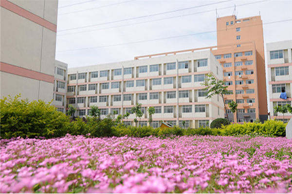 招生最新简章 招生最新简章