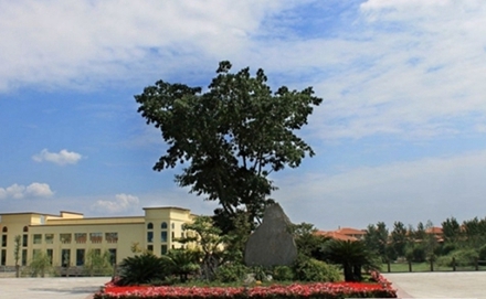 四川文理学院学前教育专业招生