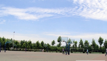 西华大学教育学专业招生