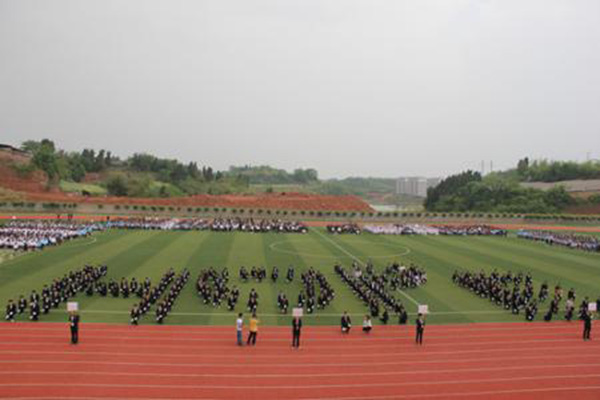 学院排名 学院排名