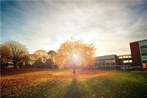 校园一角 校园一角