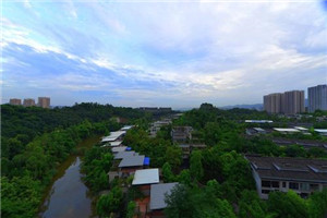 校园一角