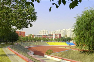 校园一角 校园一角