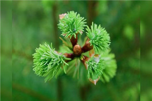 校园一角 校园一角