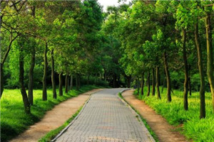 校园一角 校园一角