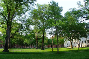 校园一角 校园一角