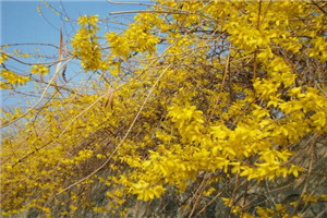 校园一角 校园一角