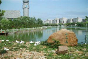 校园一角 校园一角