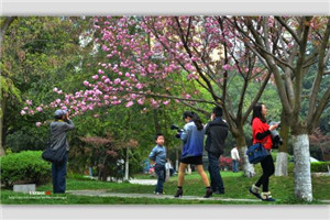 校园一角 校园一角