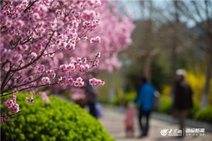 校园一角 校园一角