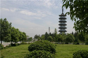 校园一角 校园一角