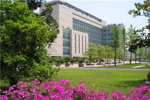 校园一角 校园一角