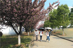 校园一角 校园一角