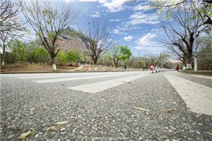 校园一角 校园一角