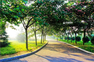 校园一角 校园一角