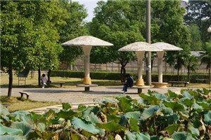 校园一角 校园一角