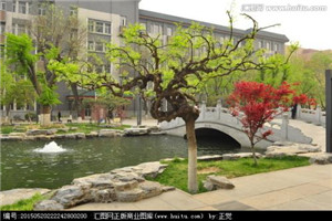 校园一角 校园一角