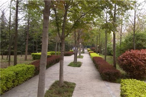 校园一角 校园一角