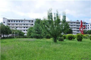 校园一角 校园一角