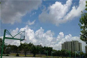 校园一角 校园一角