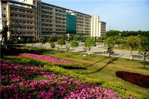 校园一角 校园一角