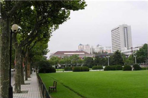 校园一角 校园一角