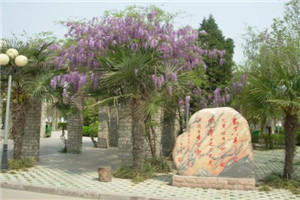 校园一角 校园一角