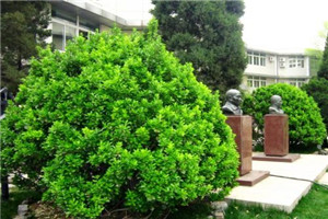 校园一角 校园一角