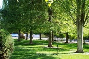 校园一角 校园一角