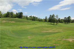 校园一角 校园一角