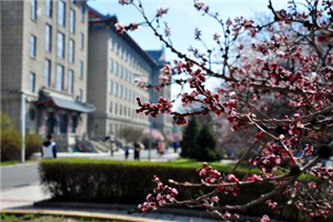 校园一角 校园一角