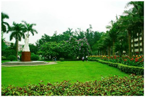 校园一角 校园一角