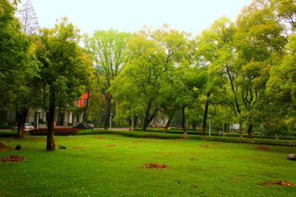 校园一角 校园一角