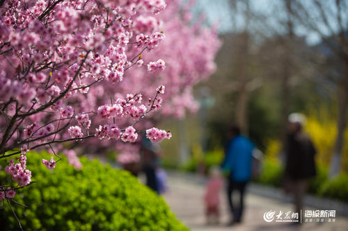 校园一角 校园一角