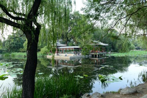 校园一角 校园一角