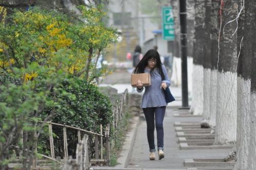 校园一角 校园一角